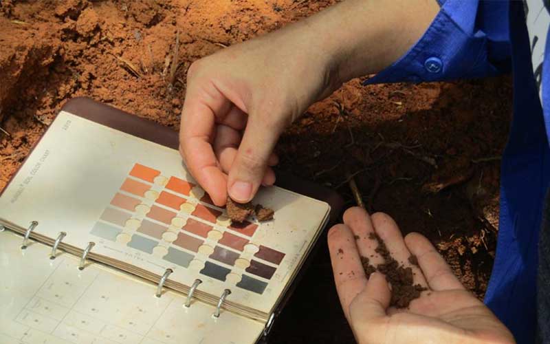 soil-sampling-project-site-1