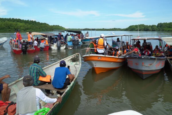 Comunidades chiricanas recorren manglares de David