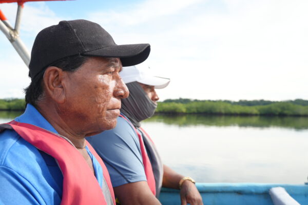 Comunidades concheras avanzan en restauración de hábitat de concha negra