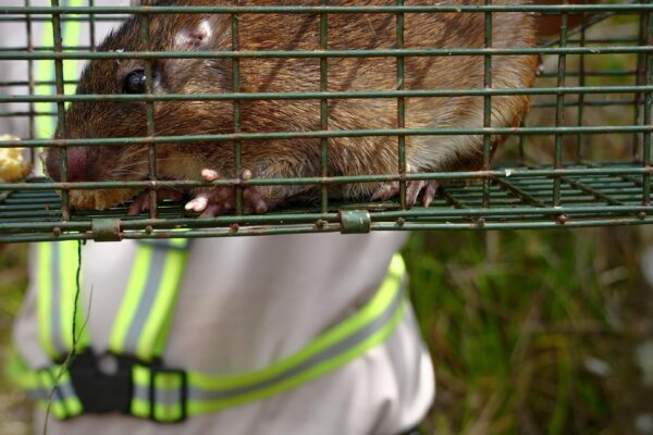 We are advancing biodiversity protection from the initial stages of the project.