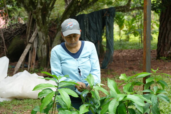 Fortalcemos nuestra participación ambiental junto a CIFEm y viveristas comunitarios